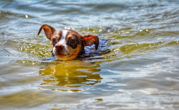 Comment démarrer une carrière de conseiller en gestion de patrimoine ?