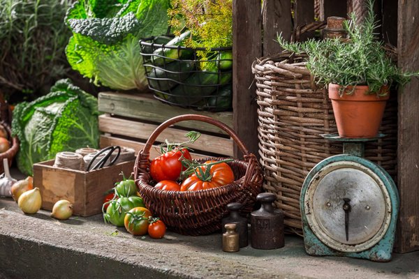 Comment organiser un festival de théâtre amateur ?